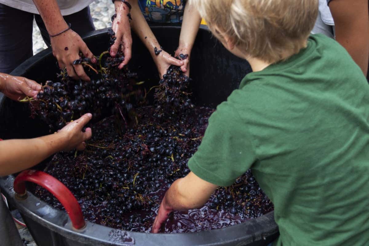 Autunno a Brescia: ricco calendario di eventi tra città, lago e collina